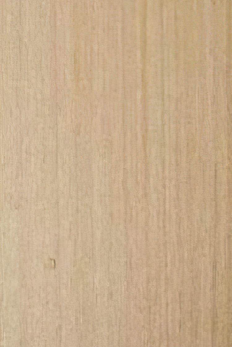 6355銀絲直紋
